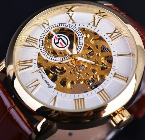 Casual Stylish Mechanical Watch for Men